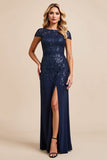 Navy Sheath Long Formal Dress With Appliques