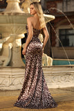 Mermaid Coffee Leopard Sweetheart Corset Long Prom Dress with Slit