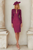 Lace Blush Pink Sheath Stretch Satin Mother of the Bride Dress