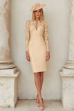 Lace Blush Pink Sheath Stretch Satin Mother of the Bride Dress
