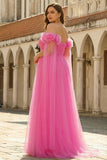 Hot Pink A-Line Off The Shoulder Plus Size Corset Pleated Tulle Long Prom Dress with Cape