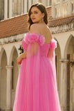 Hot Pink A-Line Off The Shoulder Plus Size Corset Pleated Tulle Long Prom Dress with Cape