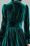 Peacock Green Velvet A-Line Holiday Party Dress with Long Sleeves