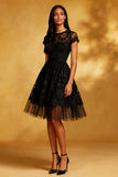 Lace A-Line Short Sleeves Little Black Dress