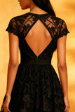 Lace A-Line Short Sleeves Little Black Dress
