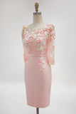Blush Pink Sheath Round Neck Long Sleeve Mother of the Bride Dress with 3D Flowers