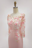 Blush Pink Sheath Round Neck Long Sleeve Mother of the Bride Dress with 3D Flowers