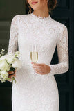 Lace Bodycon Long Sleeve Ivory Bridal Shower Dress