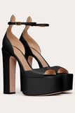 Black High Block Heel Platform Open Toe Chunky Sandals with Ankle Strap