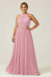 Halter A Line Dusty Sage Pleated Long Plus Size Bridesmaid Dress