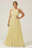 Halter A Line Dusty Sage Pleated Long Plus Size Bridesmaid Dress