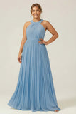 Halter A Line Dusty Sage Pleated Long Plus Size Bridesmaid Dress