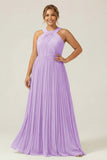 Halter A Line Dusty Sage Pleated Long Plus Size Bridesmaid Dress