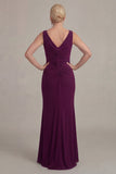 Grape Sheath V Neck Long Mother of the Bride Dress with Cape