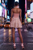Pink Halter Corset Sequin A Line Homecoming Dress with Appliques
