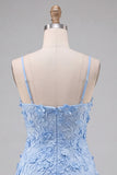 Light Blue A Line Floral Applique Short Homecoming Dress