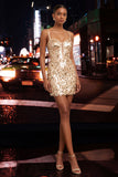 Sparkly Silver Corset Bodycon Short Homecoming Dress with Lace-up Back