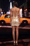 Sparkly Silver Corset Bodycon Short Homecoming Dress with Lace-up Back