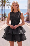Pearl A Line Tiered Illusion Neck Black Homecoming Dress