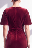 Velvet Ruched Burgundy Maxi Dress with Short Sleeves