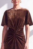 Velvet Ruched Burgundy Maxi Dress with Short Sleeves