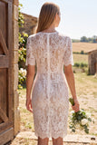 Ivory Sheath Lace Bridal Shower Dress with Short Sleeves