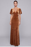 Brown V-Neck Velvet Maxi Dress with Short Sleeves