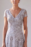 Silver Grey Sequin Mother of the Bride Dress with Cap Sleeves