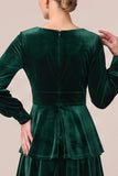 Brown Velvet Tiered Ruffled A Line Long Sleeve Formal Dress