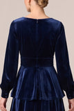 Brown Velvet Tiered Ruffled A Line Long Sleeve Formal Dress