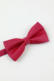 Men's Fuchsia 5-Piece Accessory Set Tie and Bow Tie Pocket Square Flower Lapel Pin Tie Clip