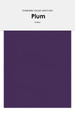 Chiffon Fabric Color Swatches