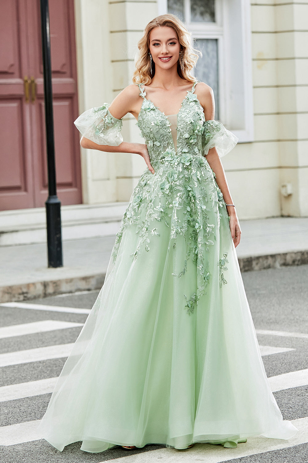 Wedtrend Women Sage Prom Dress A Line Spaghetti Straps Corset Appliqued Formal Dress with Detachable Sleeves WEDTREND