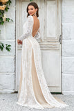 Sheath/Column Sweep Train Tulle Lace Boho Wedding Dress with Long Sleeves