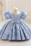 Champagne Puff Sleeves Flower Girl Dress Swing Dress