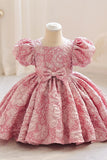 Champagne Puff Sleeves Flower Girl Dress Swing Dress