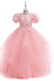 Light Blue Puff Sleeves Tulle Flower Girl Dress with Appliques