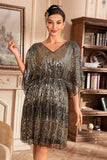 Golden Sparkly Batwing Sleeves Party Dress with Sequins