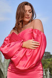 Peach Sheath Off the Shoulder Plus Size Party Dress with Long Sleeves