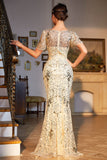 Mermaid Golden V Neck Long Sequins Flapper Evening Dress